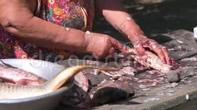 年长的<strong>女渔</strong>夫清理一条活泼的大鱼的鳞片